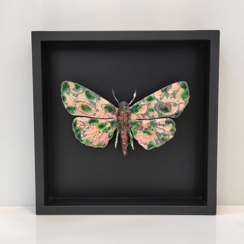 Schmetterling in Holzkasten aus emailliertem Kupfer