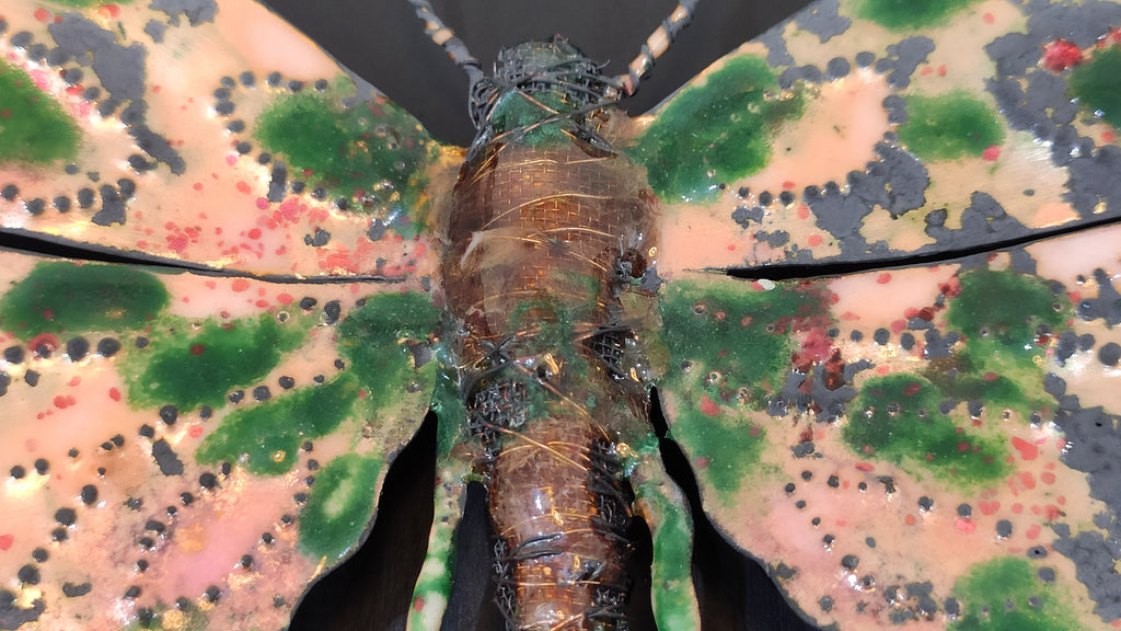 Schmetterling in Holzkasten aus emailliertem Kupfer Nahaufnahme